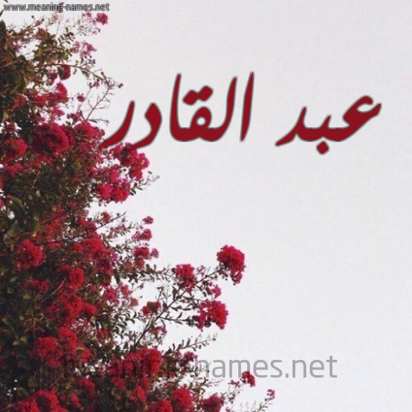 شكل 18 صوره الورد الأحمر للإسم بخط رقعة صورة اسم عبد القادر Abd alkhader